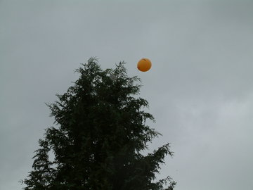 Bild 71 - 2004